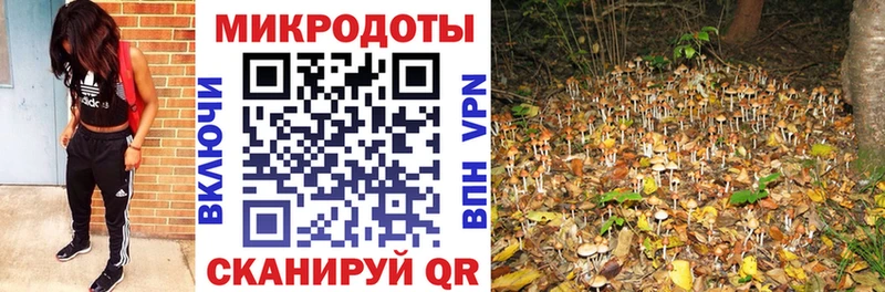 Псилоцибиновые грибы прущие грибы  купить закладку  Краснообск 